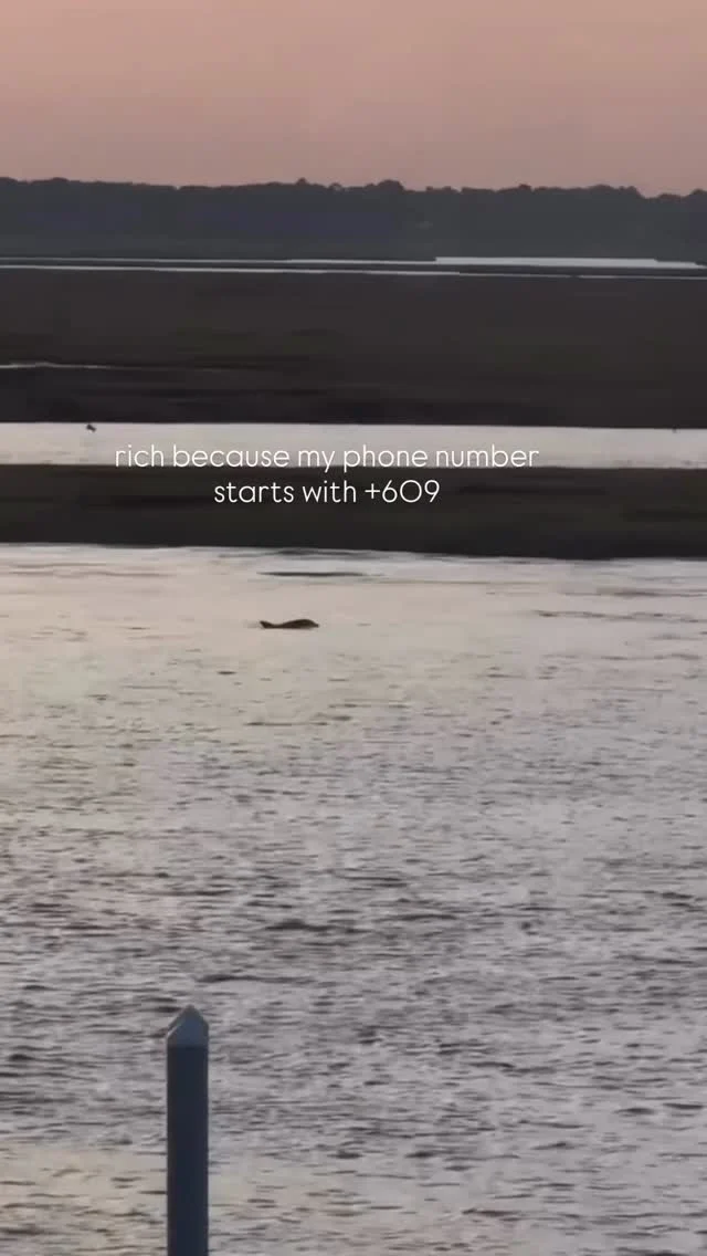 How lucky are we? 🐬💎 Tideline’s waterfront isn’t just about sunsets. It’s about moments that feel like your own private nature documentary.

🌅Sunset 7:02pm

🩵Doors open at 4pm

🥡Link in bio to order Take Out

#tidelinemargate #609 #dolphin #dolphinwatching #downtheshore #margatenj #naturedocumentary
